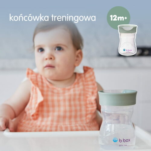 B.box kubek do nauki picia dla dziecka - zestaw 4w1 240 ml szałwiowy - obrazek 7