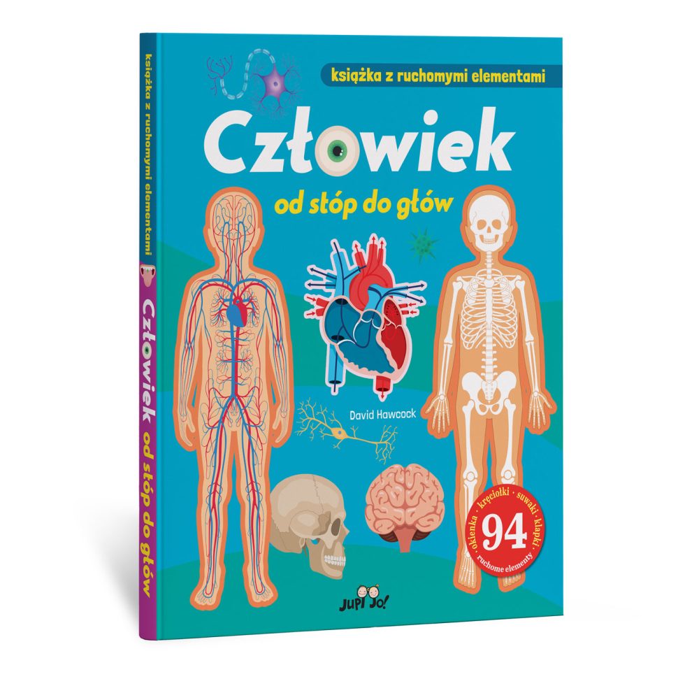 Człowiek od stóp do głów. Książka z ruchomymi elementami