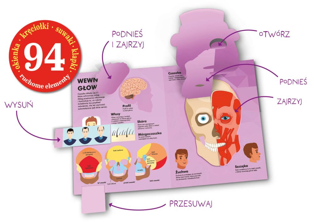 Człowiek od stóp do głów. Książka z ruchomymi elementami1