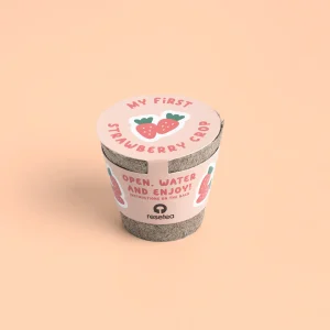 My First Crops Resetea – Truskawka
