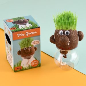 Radis et Capucine Mr Green  Potato ziemniak z trawiastą głową