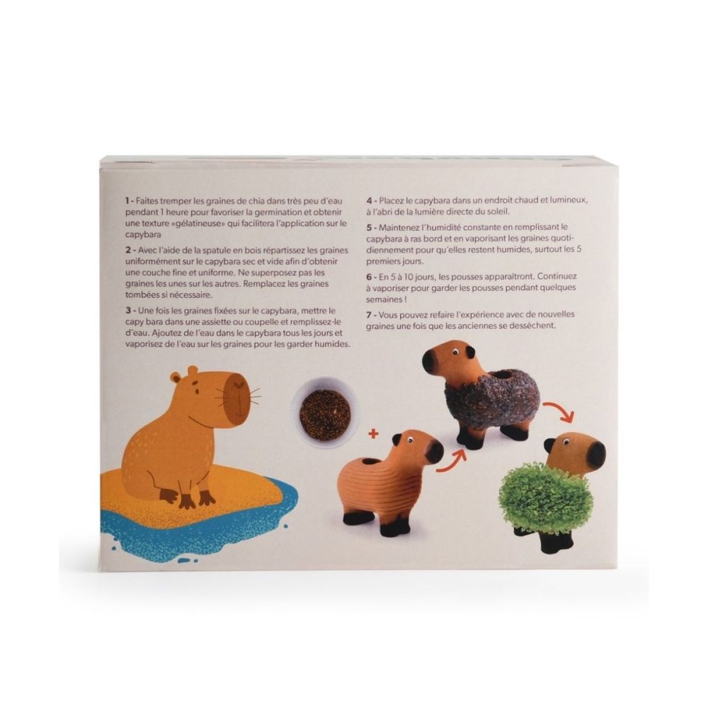 capybara-terre-cuite-poreuse-avec-graines-de-chia