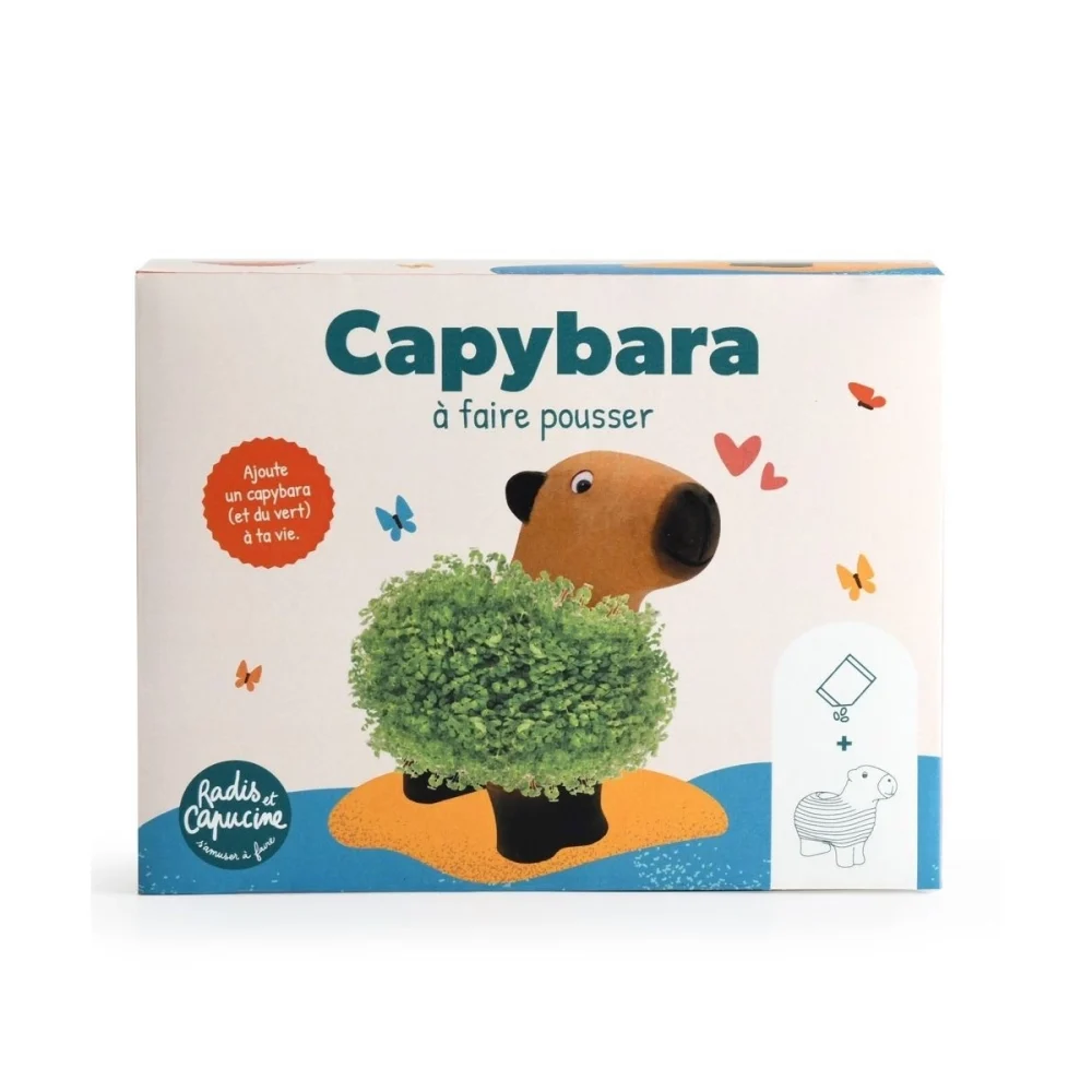 capybara-terre-cuite-poreuse-avec-graines-de-chia