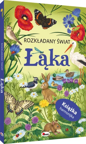 AWM ROZKŁADANY ŚWIAT ŁĄKA