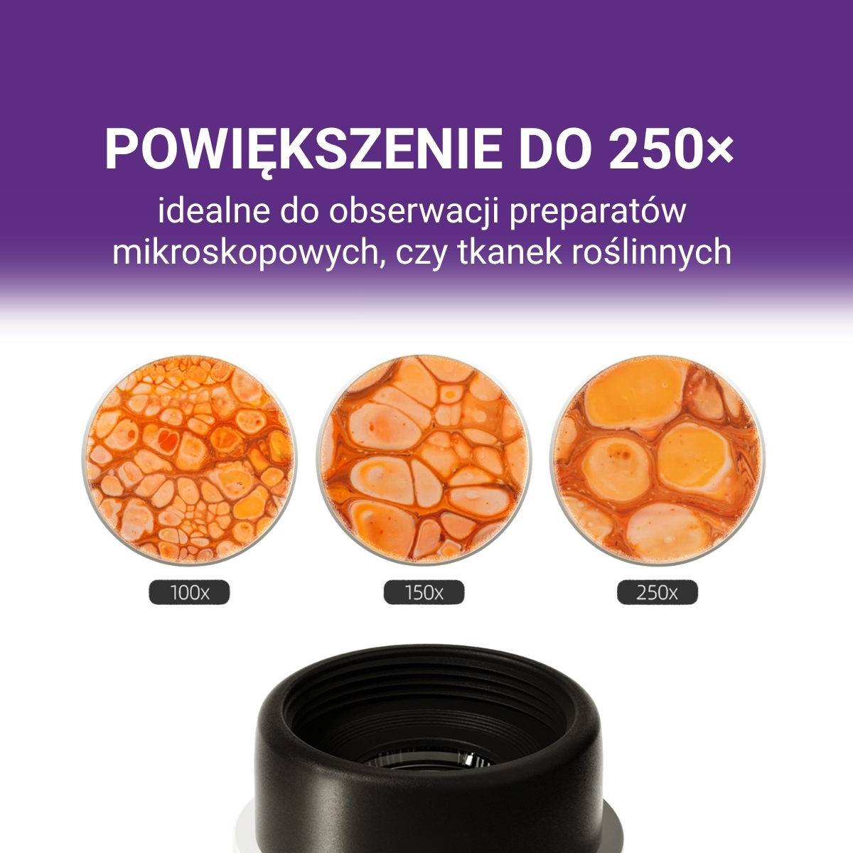 Przenośny Mikroskop Młodego Badacza 250x, 8+ Science Can - obrazek 5